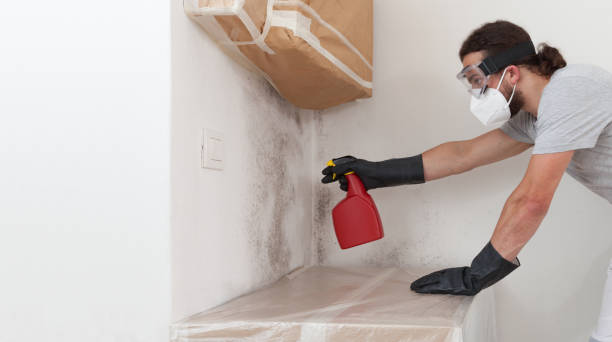 Attic Mold Remediation treatment on roof deck in Little Falls